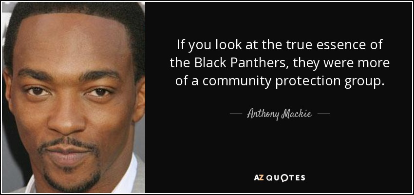 If you look at the true essence of the Black Panthers, they were more of a community protection group. - Anthony Mackie