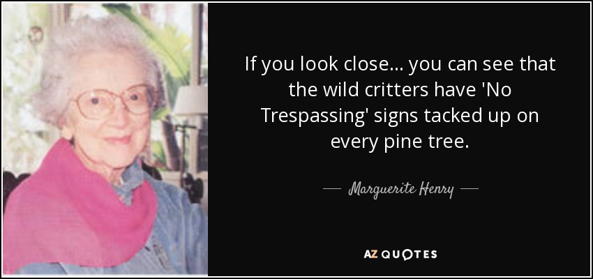 If you look close ... you can see that the wild critters have 'No Trespassing' signs tacked up on every pine tree. - Marguerite Henry