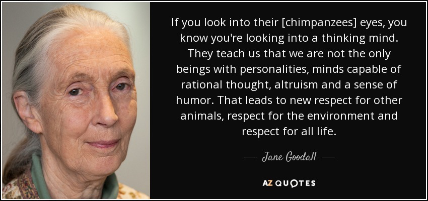 If you look into their [chimpanzees] eyes, you know you're looking into a thinking mind. They teach us that we are not the only beings with personalities, minds capable of rational thought, altruism and a sense of humor. That leads to new respect for other animals, respect for the environment and respect for all life. - Jane Goodall