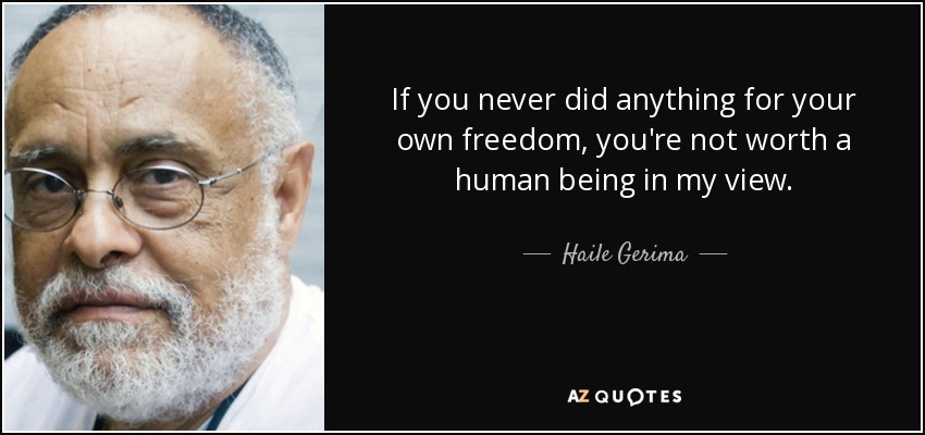 If you never did anything for your own freedom, you're not worth a human being in my view. - Haile Gerima