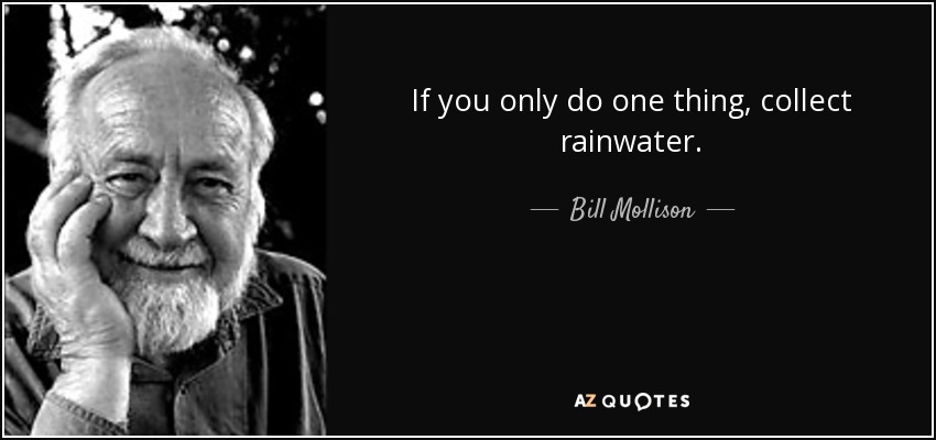 If you only do one thing, collect rainwater. - Bill Mollison