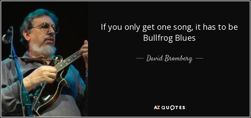 If you only get one song, it has to be Bullfrog Blues - David Bromberg