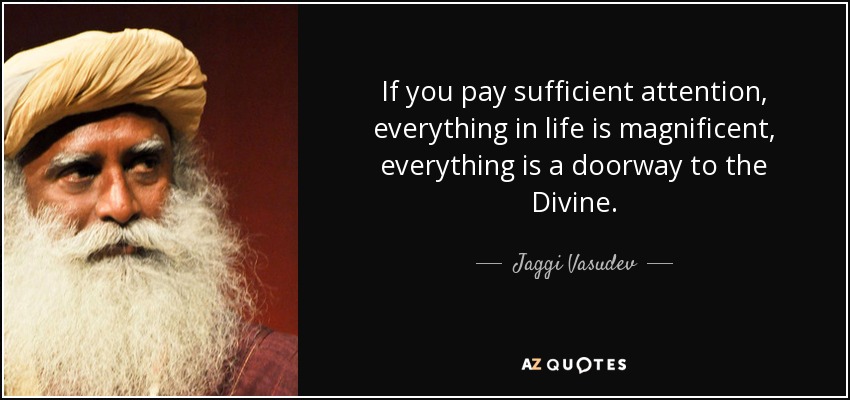 If you pay sufficient attention, everything in life is magnificent, everything is a doorway to the Divine. - Jaggi Vasudev