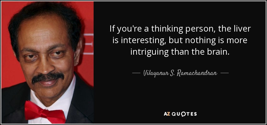 If you're a thinking person, the liver is interesting, but nothing is more intriguing than the brain. - Vilayanur S. Ramachandran