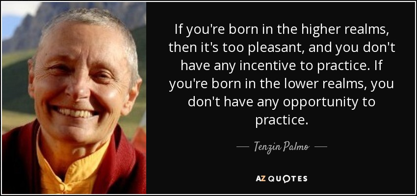 If you're born in the higher realms, then it's too pleasant, and you don't have any incentive to practice. If you're born in the lower realms, you don't have any opportunity to practice. - Tenzin Palmo