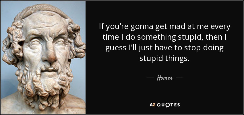 If you're gonna get mad at me every time I do something stupid, then I guess I'll just have to stop doing stupid things. - Homer