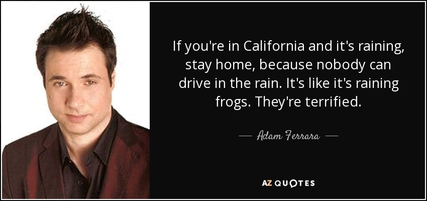 If you're in California and it's raining, stay home, because nobody can drive in the rain. It's like it's raining frogs. They're terrified. - Adam Ferrara
