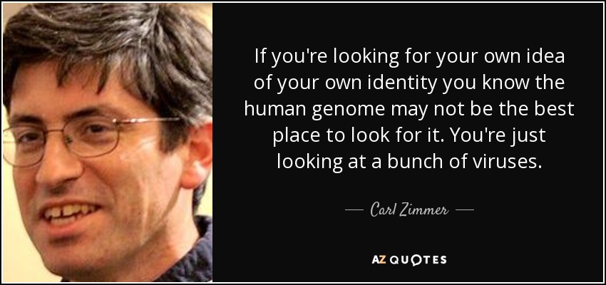 If you're looking for your own idea of your own identity you know the human genome may not be the best place to look for it. You're just looking at a bunch of viruses. - Carl Zimmer