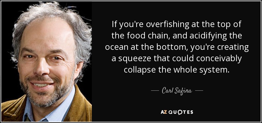If you're overfishing at the top of the food chain, and acidifying the ocean at the bottom, you're creating a squeeze that could conceivably collapse the whole system. - Carl Safina