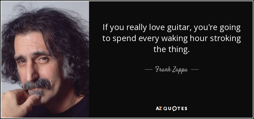 If you really love guitar, you're going to spend every waking hour stroking the thing. - Frank Zappa