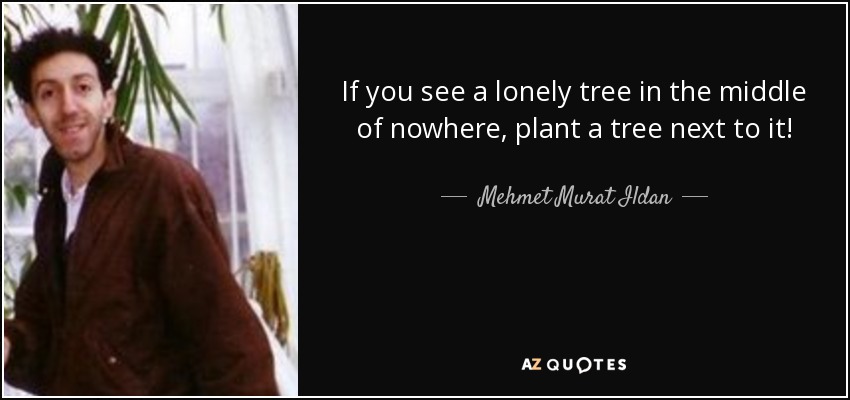 If you see a lonely tree in the middle of nowhere, plant a tree next to it! - Mehmet Murat Ildan