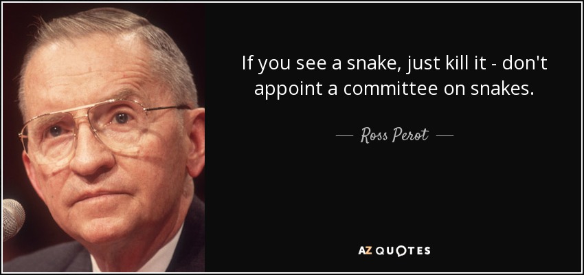 If you see a snake, just kill it - don't appoint a committee on snakes. - Ross Perot