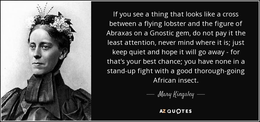 If you see a thing that looks like a cross between a flying lobster and the figure of Abraxas on a Gnostic gem, do not pay it the least attention, never mind where it is; just keep quiet and hope it will go away - for that's your best chance; you have none in a stand-up fight with a good thorough-going African insect. - Mary Kingsley