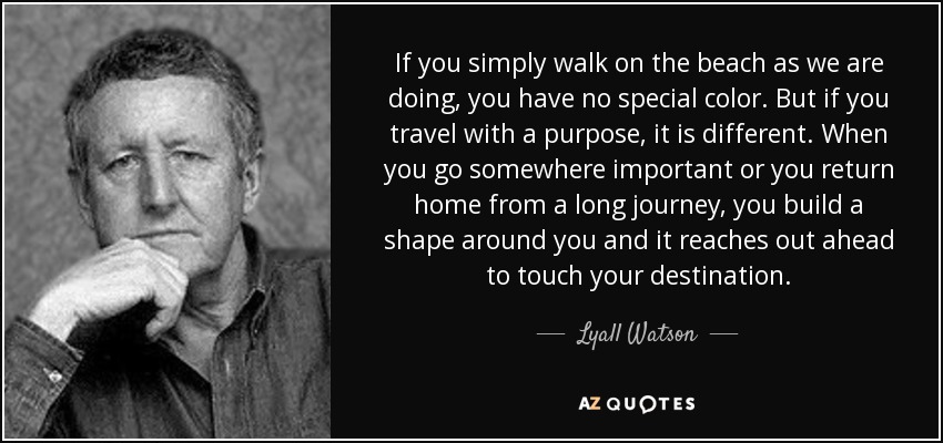 If you simply walk on the beach as we are doing, you have no special color. But if you travel with a purpose, it is different. When you go somewhere important or you return home from a long journey, you build a shape around you and it reaches out ahead to touch your destination. - Lyall Watson