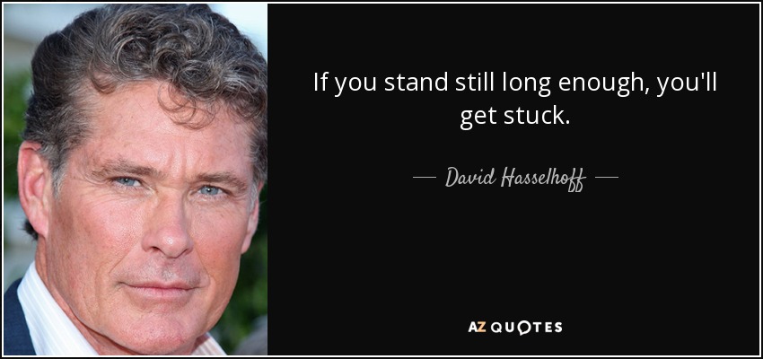 If you stand still long enough, you'll get stuck. - David Hasselhoff