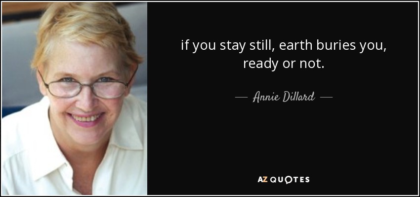 if you stay still, earth buries you, ready or not. - Annie Dillard