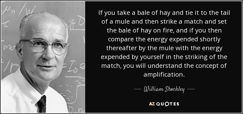 If you take a bale of hay and tie it to the tail of a mule and then strike a match and set the bale of hay on fire, and if you then compare the energy expended shortly thereafter by the mule with the energy expended by yourself in the striking of the match, you will understand the concept of amplification. - William Shockley