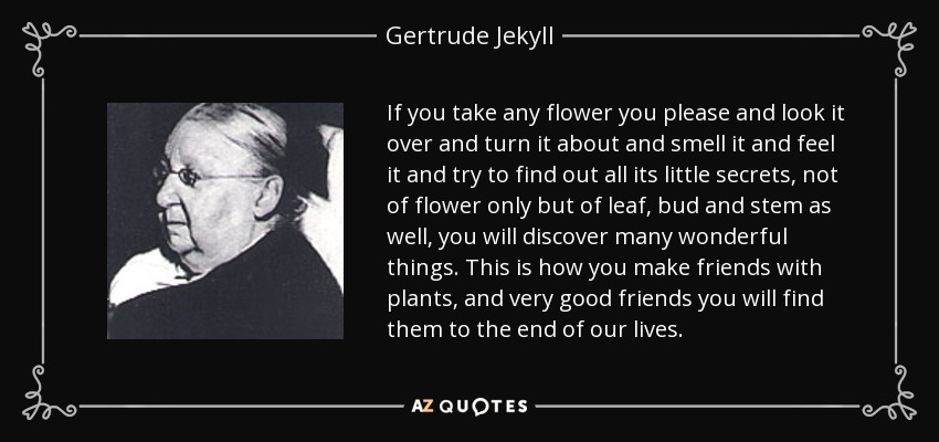 If you take any flower you please and look it over and turn it about and smell it and feel it and try to find out all its little secrets, not of flower only but of leaf, bud and stem as well, you will discover many wonderful things. This is how you make friends with plants, and very good friends you will find them to the end of our lives. - Gertrude Jekyll