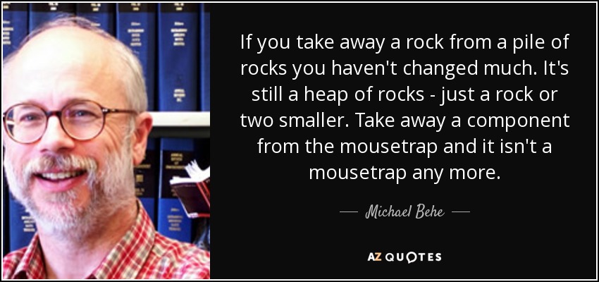 If you take away a rock from a pile of rocks you haven't changed much. It's still a heap of rocks - just a rock or two smaller. Take away a component from the mousetrap and it isn't a mousetrap any more. - Michael Behe