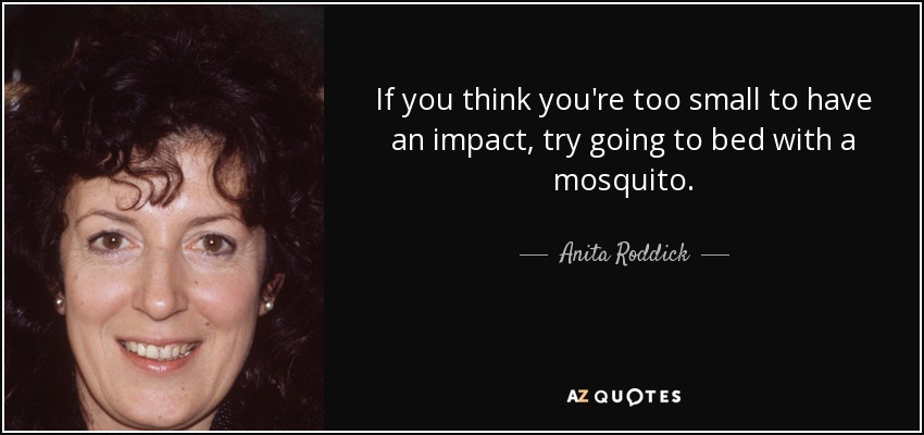 If you think you're too small to have an impact, try going to bed with a mosquito. - Anita Roddick