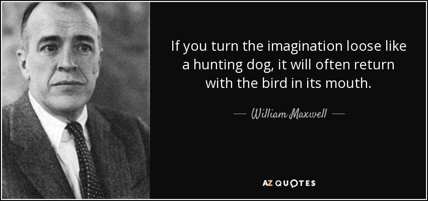 If you turn the imagination loose like a hunting dog, it will often return with the bird in its mouth. - William Maxwell