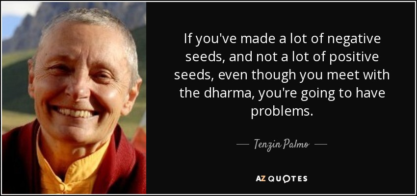 If you've made a lot of negative seeds, and not a lot of positive seeds, even though you meet with the dharma, you're going to have problems. - Tenzin Palmo
