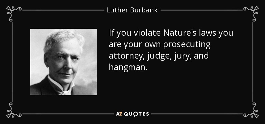 If you violate Nature's laws you are your own prosecuting attorney, judge, jury, and hangman. - Luther Burbank