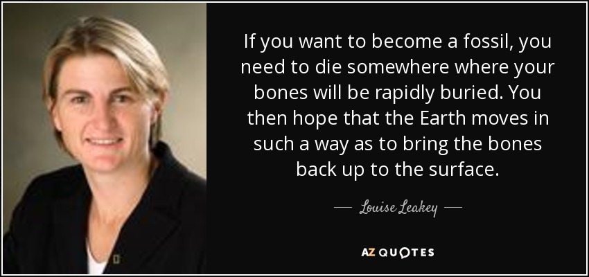 If you want to become a fossil, you need to die somewhere where your bones will be rapidly buried. You then hope that the Earth moves in such a way as to bring the bones back up to the surface. - Louise Leakey