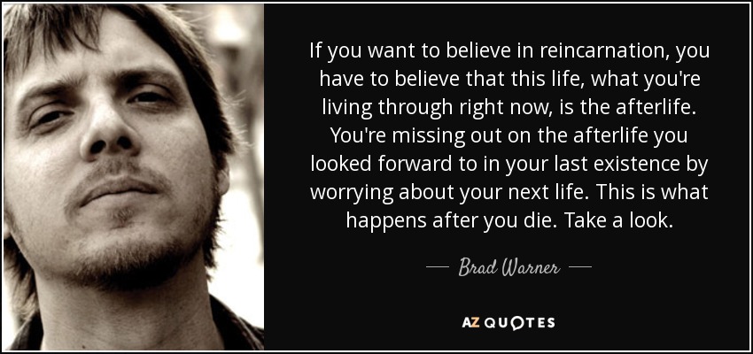 If you want to believe in reincarnation, you have to believe that this life, what you're living through right now, is the afterlife. You're missing out on the afterlife you looked forward to in your last existence by worrying about your next life. This is what happens after you die. Take a look. - Brad Warner