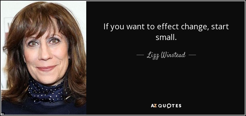 If you want to effect change, start small. - Lizz Winstead