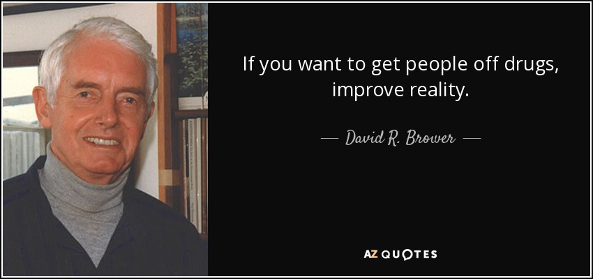 If you want to get people off drugs, improve reality. - David R. Brower