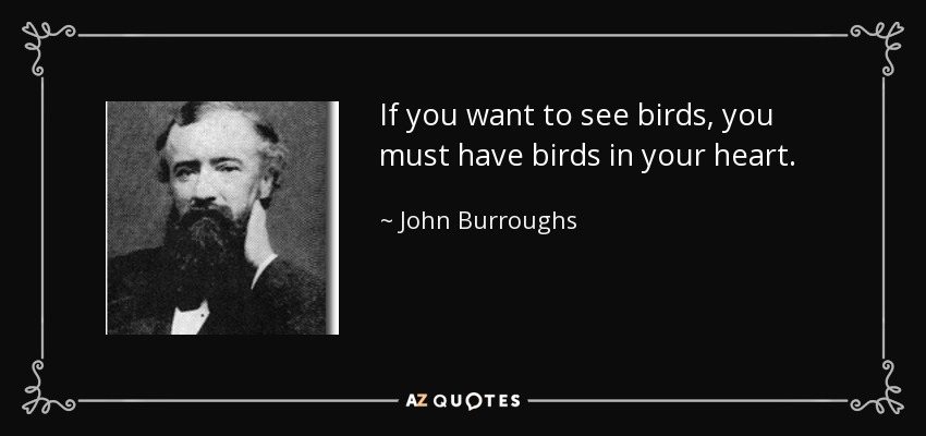 If you want to see birds, you must have birds in your heart. - John Burroughs
