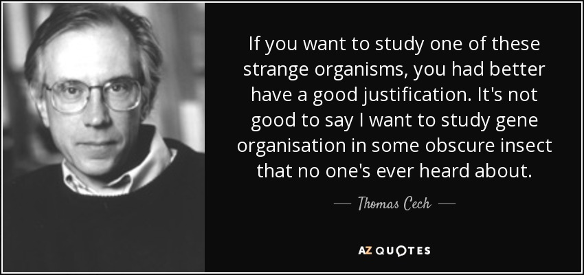 If you want to study one of these strange organisms, you had better have a good justification. It's not good to say I want to study gene organisation in some obscure insect that no one's ever heard about. - Thomas Cech