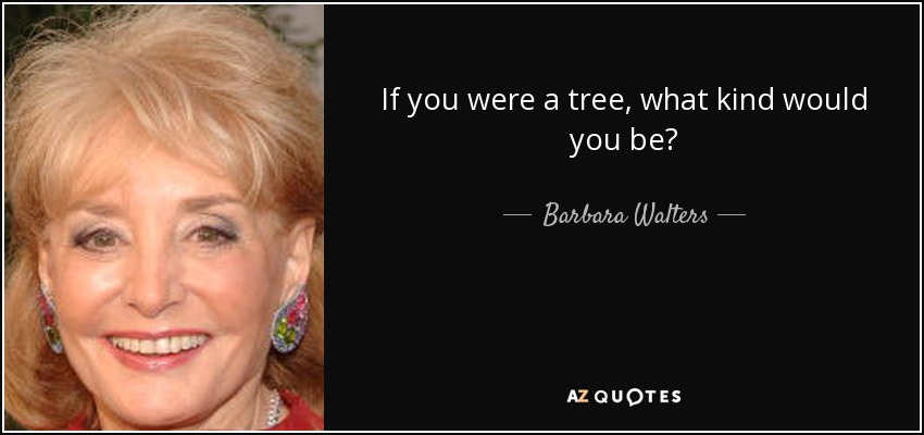 If you were a tree, what kind would you be? - Barbara Walters