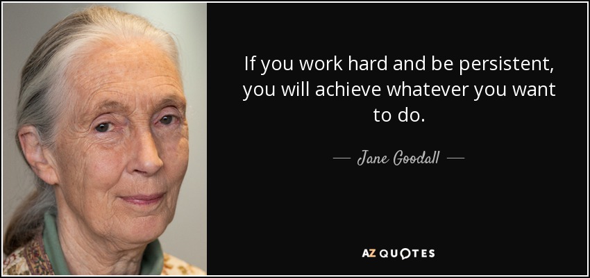 If you work hard and be persistent, you will achieve whatever you want to do. - Jane Goodall