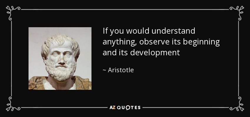 If you would understand anything, observe its beginning and its development - Aristotle