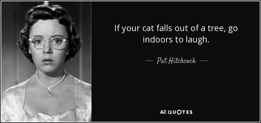 If your cat falls out of a tree, go indoors to laugh. - Pat Hitchcock