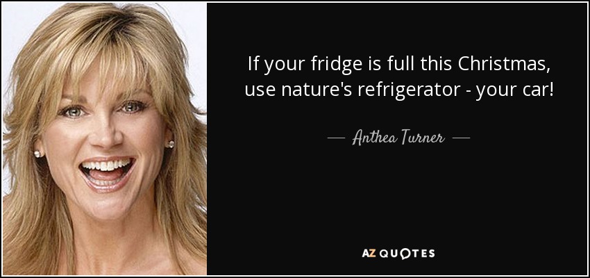 If your fridge is full this Christmas, use nature's refrigerator - your car! - Anthea Turner