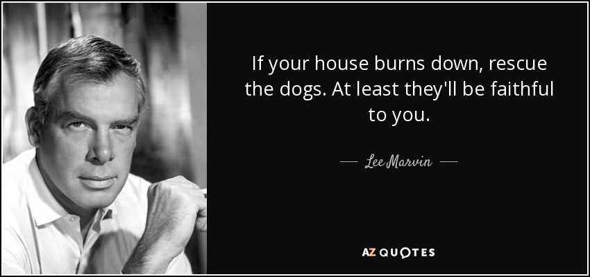 If your house burns down, rescue the dogs. At least they'll be faithful to you. - Lee Marvin