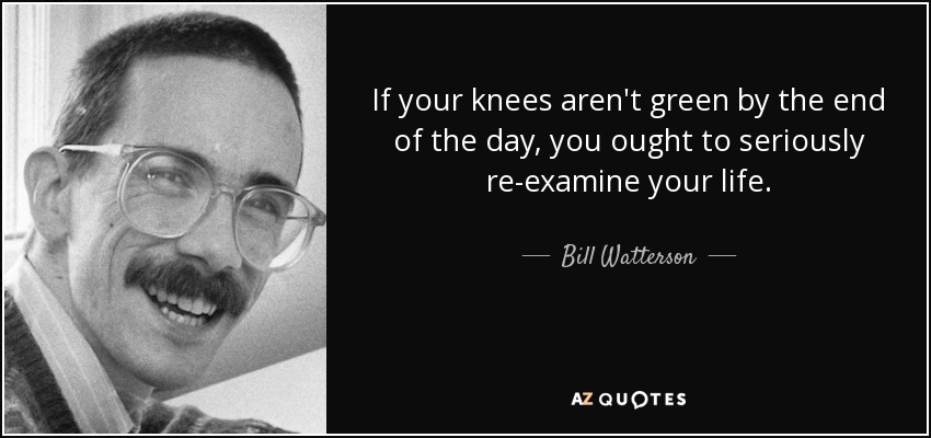 If your knees aren't green by the end of the day, you ought to seriously re-examine your life. - Bill Watterson