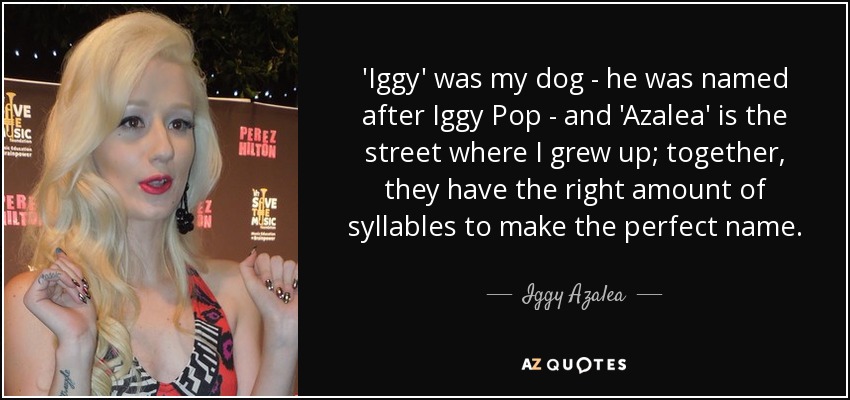 'Iggy' was my dog - he was named after Iggy Pop - and 'Azalea' is the street where I grew up; together, they have the right amount of syllables to make the perfect name. - Iggy Azalea