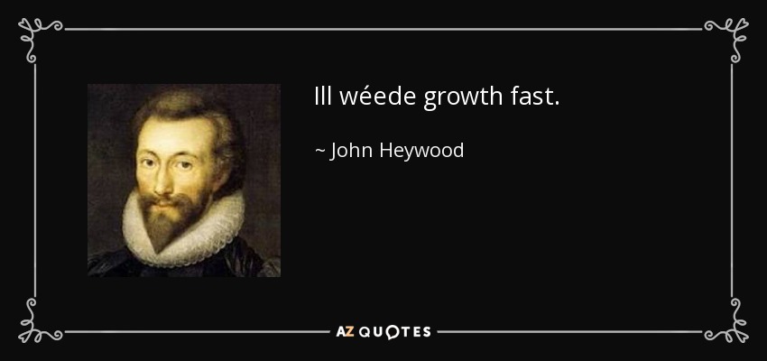 Ill wéede growth fast. - John Heywood