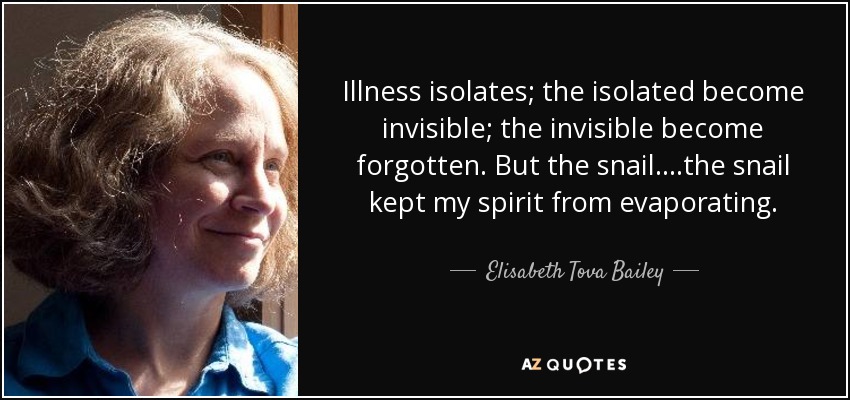 Illness isolates; the isolated become invisible; the invisible become forgotten. But the snail....the snail kept my spirit from evaporating. - Elisabeth Tova Bailey