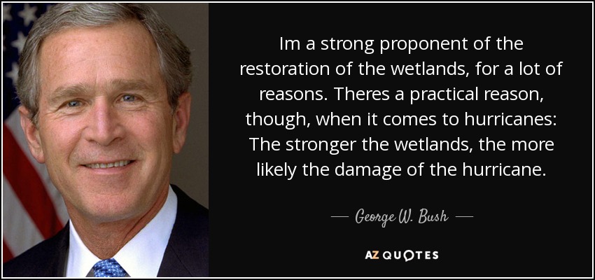 Im a strong proponent of the restoration of the wetlands, for a lot of reasons. Theres a practical reason, though, when it comes to hurricanes: The stronger the wetlands, the more likely the damage of the hurricane. - George W. Bush