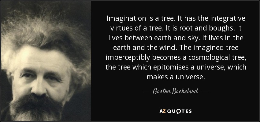 Imagination is a tree. It has the integrative virtues of a tree. It is root and boughs. It lives between earth and sky. It lives in the earth and the wind. The imagined tree imperceptibly becomes a cosmological tree, the tree which epitomises a universe, which makes a universe. - Gaston Bachelard