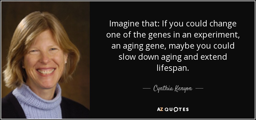 Imagine that: If you could change one of the genes in an experiment, an aging gene, maybe you could slow down aging and extend lifespan. - Cynthia Kenyon