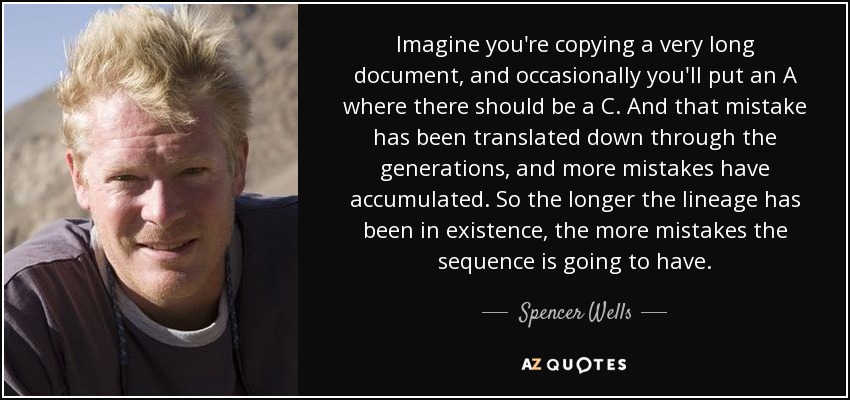 Imagine you're copying a very long document, and occasionally you'll put an A where there should be a C. And that mistake has been translated down through the generations, and more mistakes have accumulated. So the longer the lineage has been in existence, the more mistakes the sequence is going to have. - Spencer Wells