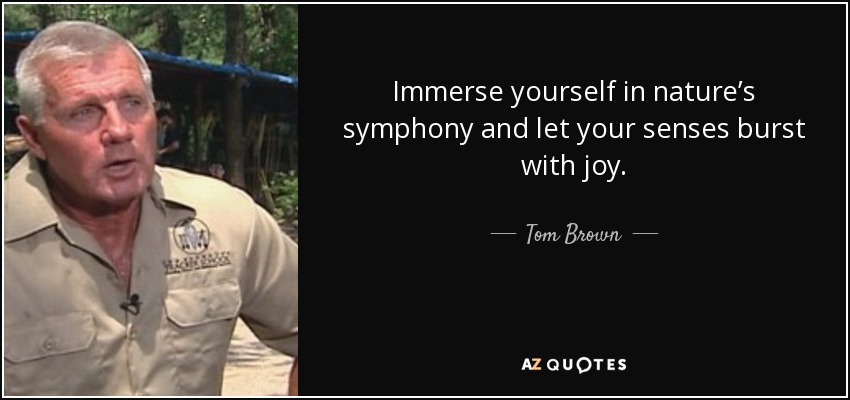 Immerse yourself in nature’s symphony and let your senses burst with joy. - Tom Brown, Jr.