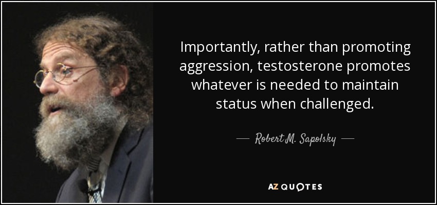 Importantly, rather than promoting aggression, testosterone promotes whatever is needed to maintain status when challenged. - Robert M. Sapolsky