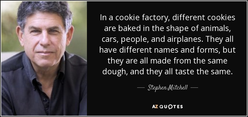 In a cookie factory, different cookies are baked in the shape of animals, cars, people, and airplanes. They all have different names and forms, but they are all made from the same dough, and they all taste the same. - Stephen Mitchell